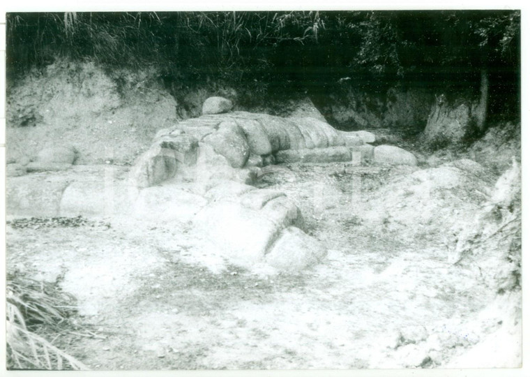 1980 SAN SEVERINO MARCHE Rovine della SEPTEMPEDA romana *Foto 18x13 cm