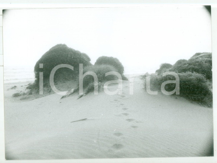 1981 LITORALE LAZIALE Orme sulla sabbia *Foto VINTAGE 18x13 cm