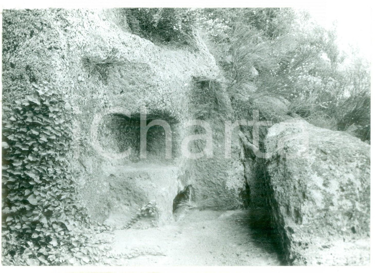 1981 VETRALLA Necropoli rupestre di NORCHIA scavata nel tufo - Foto VINTAGE