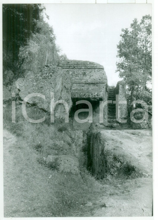 1981 VETRALLA Necropoli rupestre di NORCHIA scavata nel tufo *Fotografia VINTAGE