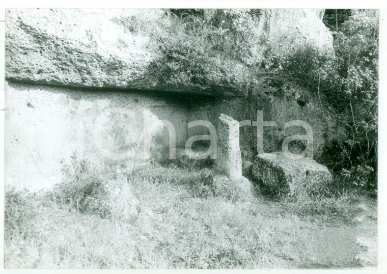 1981 VETRALLA Necropoli di NORCHIA - Resti di una tomba a tempio *Foto 18x13 cm