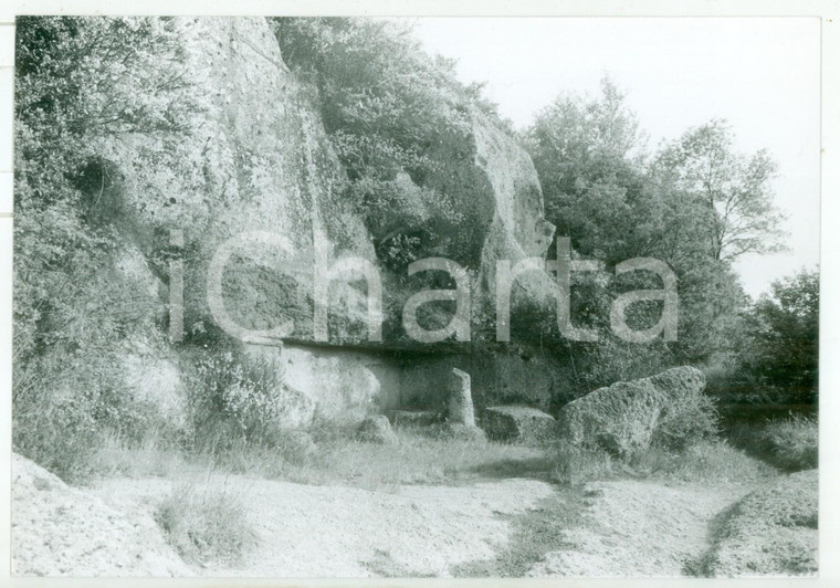 1981 VETRALLA Necropoli di NORCHIA - Tomba scavata nel tufo *Foto VINTAGE 18x13