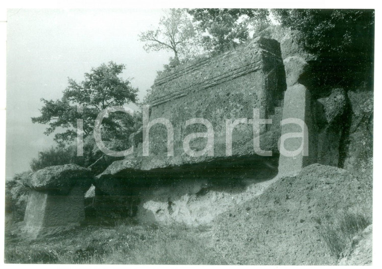 1981 VETRALLA Necropoli di NORCHIA - Tomba a tempio scavata nel tufo *Foto 18x13