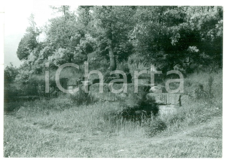 1981 VETRALLA Necropoli di NORCHIA - Resti di antiche mura *Foto 18x13 cm
