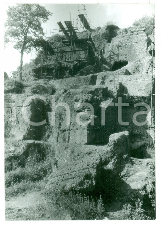 1981 VETRALLA Necropoli di NORCHIA - Tomba con impalcature per restauri *Foto 