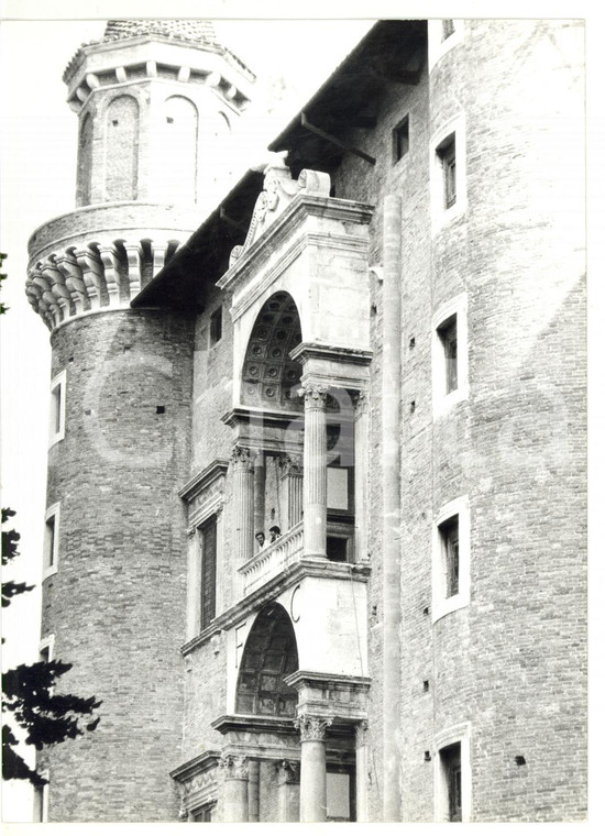 1973 URBINO Palazzo Ducale - Balconcino della facciata dei Torricini *Foto 13x18