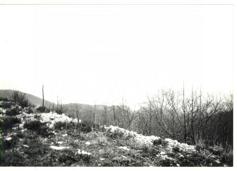 1977 MONTE TERMINILLO Foresta innevata - Fotografia VINTAGE 18x13 cm