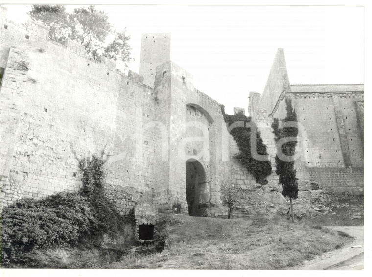 1981 TARQUINIA (VT) Veduta di Porta Castello *Foto VINTAGE 18x13