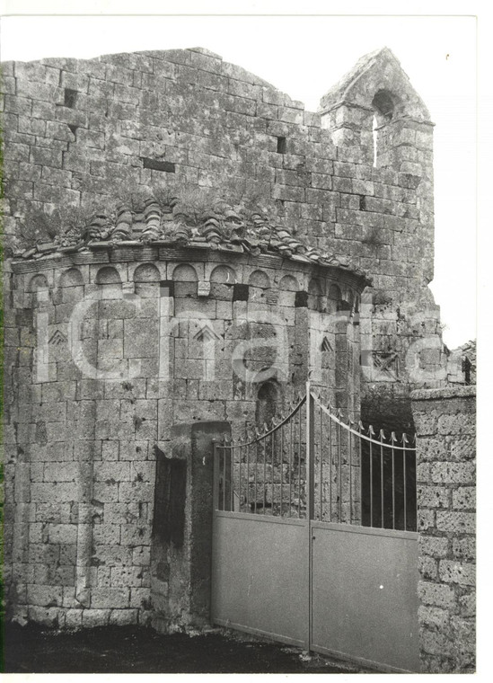 1981 TARQUINIA (VT) Chiesa di San Salvatore - Ingresso *Foto VINTAGE 13x18 cm