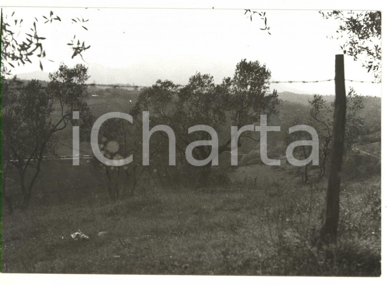 1980 NAZZANO Veduta del monte SORATTE *Foto VINTAGE 18x13 cm