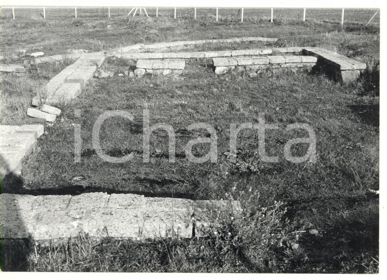 1978 VITERBO - ACQUAROSSA Sito archeologico - Resti di abitazioni etrusche