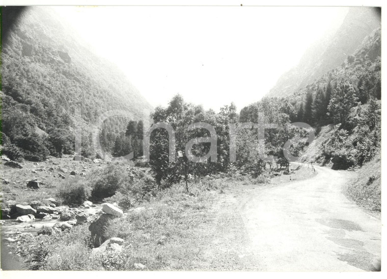 1981 VALLE GESSO DELLA BARRA Sentiero tra le montagne *Foto VINTAGE 18x13 cm