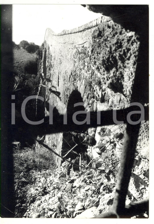 1978 VULCI (VT) Castello dell'Abbadia - Scorcio del ponte *Foto VINTAGE 13x18 cm