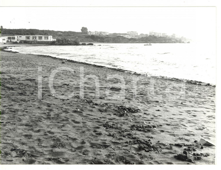 1979 TARQUINIA (VT) Bagni Sant'Agostino - Veduta della spiaggia *Foto 18x13 cm