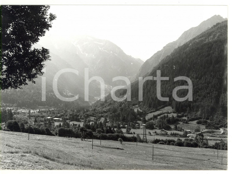 1977 VALLE DELL'AVIO (BS) Veduta della vallata con monte Adamello sullo sfondo