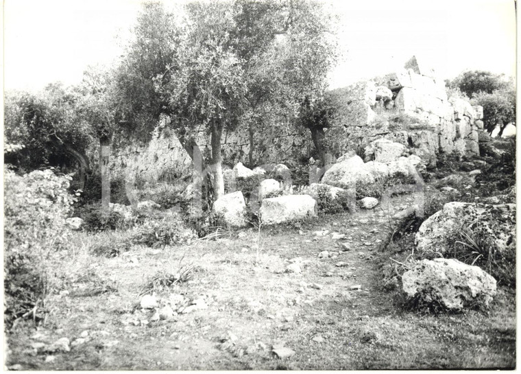 1979 COSA (GR) Scavi archeologici - I resti della porta romana *Fotografia 18x13