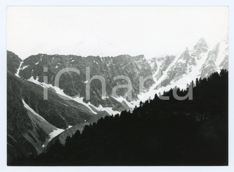 1977 TRENTINO ALTO ADIGE Passo del Tonale - Foto 17x13 cm