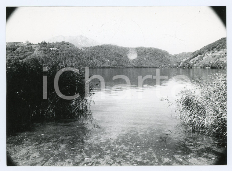 1982 LEVICO TERME Veduta del lago - Foto 17x13 cm