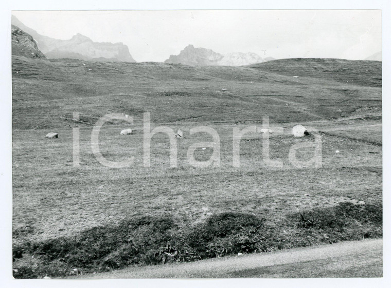 1976 ALPI GRAIE Colle del Piccolo San Bernardo - Lago Verney - Foto 17x13 cm (1)