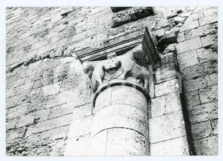 1980 CASTELNUOVO DELL'ABATE Abbazia di Sant'Antimo - Foto 17x13 cm (3)