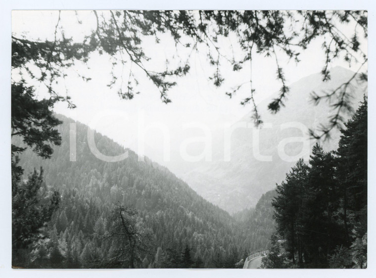 1976 VALGRISENCHE (AO) Panorama - Foto 17x13 cm