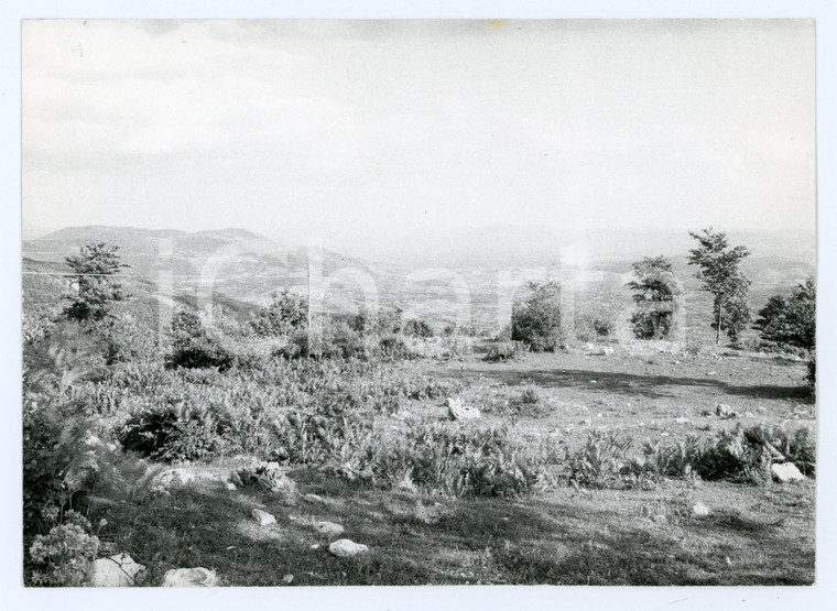 1979 GUARCINO Località CAMPOCATINO Panorama verso il paese - Foto 17x13 cm