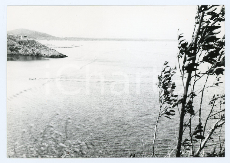 1978 MONTE ARGENTARIO Porto Ercole - Motoscafo nella Laguna di Orbetello - Foto