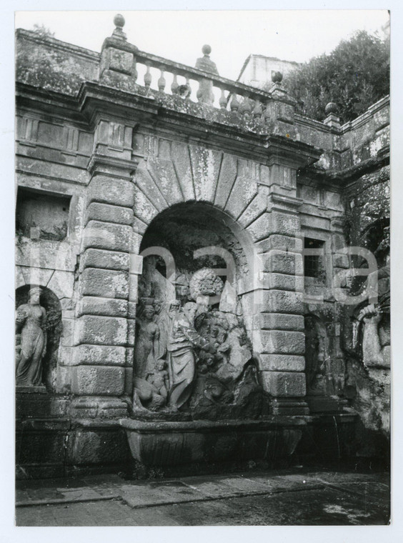 1981 SORIANO NEL CIMINO Fontana Papacqua - Gruppo del Mosè - Foto 13x17 cm