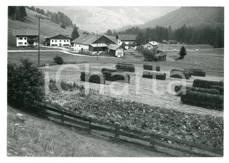 1979 SEGHERIA Fraz. BRAIES DI FUORI Panorama con ballette di paglia - Foto 17x13