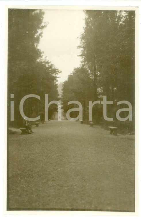 Estate 1930 SALICE TERME - Viale alberato del parco *Foto cartolina animata