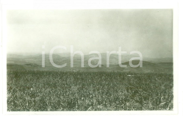 Agosto 1930 ANZANO DEGLI IRPINI (Puglia) - Veduta della vallata - Foto cartolina