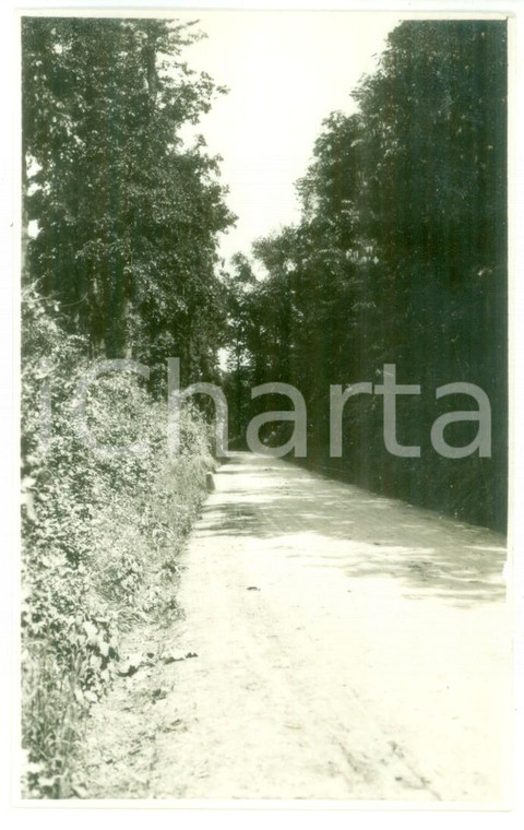 1931 NOVI LIGURE Veduta di una strada di campagna - Foto cartolina VINTAGE