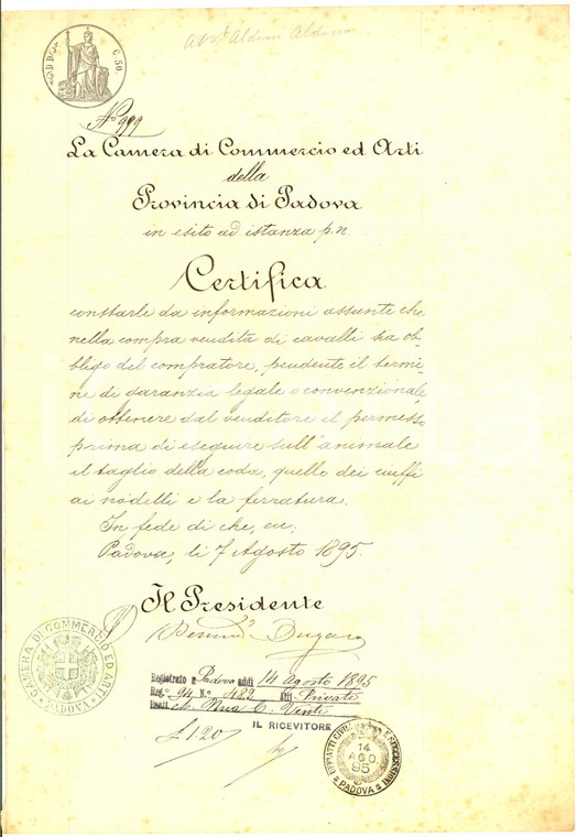 1895 PADOVA Camera di Commercio - Certificato su norme compravendita cavalli