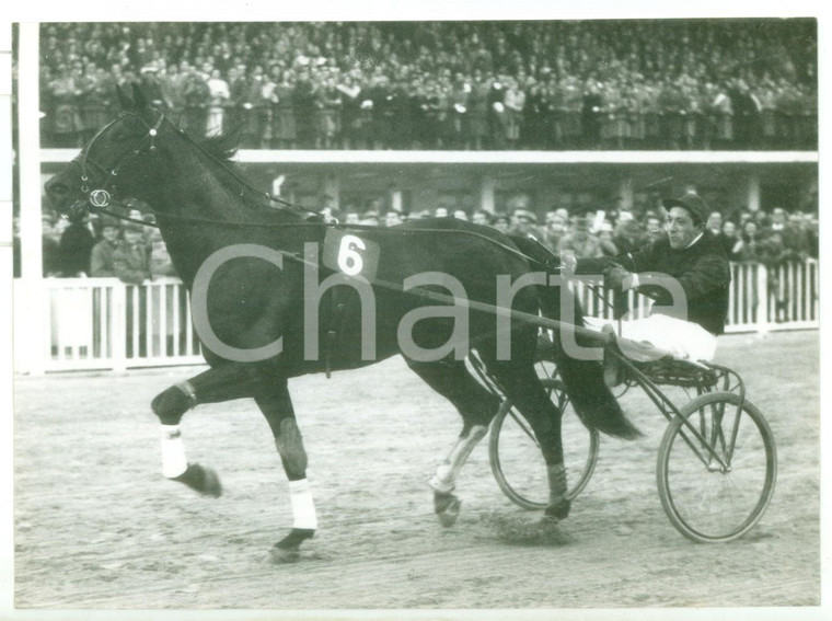 1957 MILANO Gran Premio delle Nazioni - CREVALCORE campione di trotto *Foto 