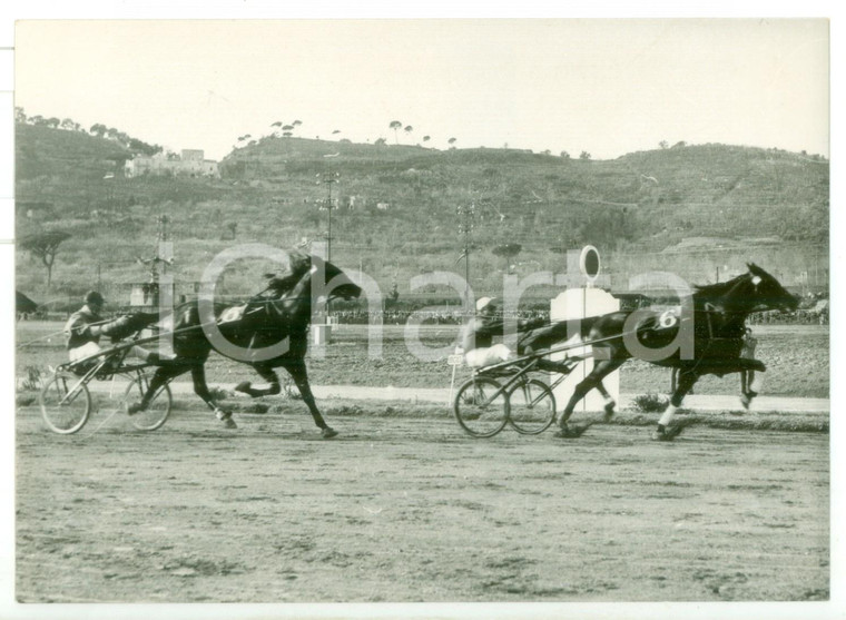 1955 ca NAPOLI IPPICA Gran Premio AGNANO - Una fase della corsa *Foto 18x13