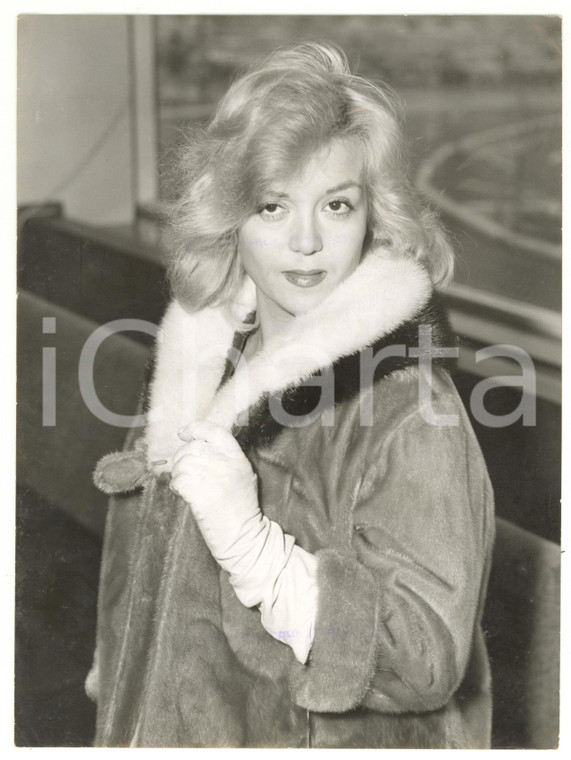 1958 LONDON Airport - Actress Rosalina NERI with fur coat *Photo 15x20