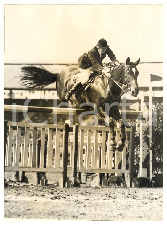 1955 LONDON Horse Show - Dawn PALETHORPE taking a jump on EARLSRATH RAMBLER