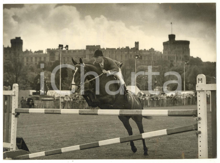1953 WINDSOR CASTLE Royal Horse Show - Derek KENT on SUGAR BUSH *Photo 20x15