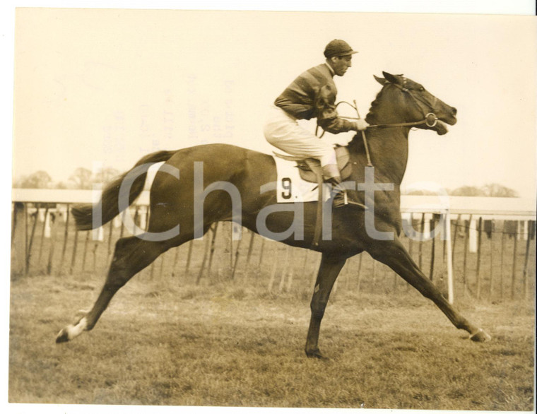 1950 NEWMARKET Charlie SMIRKE on POONA is entered for the 2000 GUINEAS STAKES 