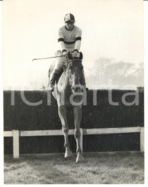 1958 AINTREE - HART ROYAL ridden by Peter PICKFORD taking a jump *Photo 15x20
