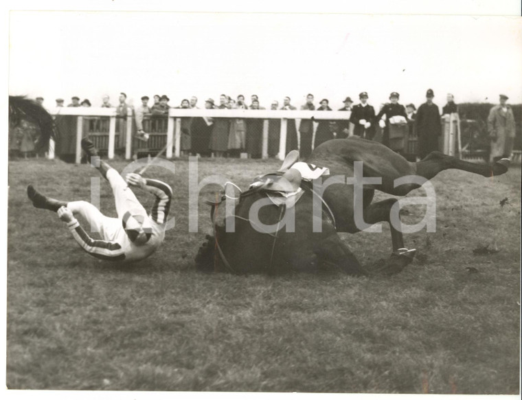 1958 SANDOWN PARK Handicap Hurdle Race - Fred WINTER on SPECIFIC taking a tumble