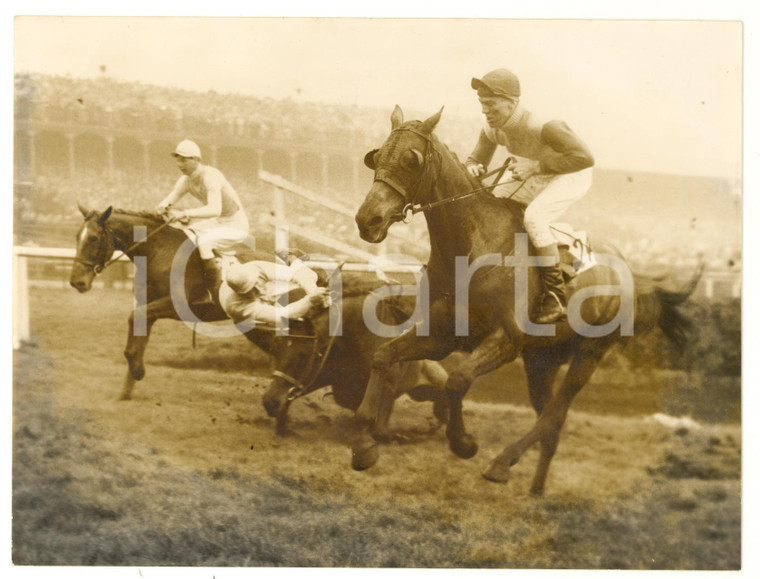 1958 AINTREE GRAND NATIONAL Tim BROOKSHAW on PIPPYKIN falling at the water jump
