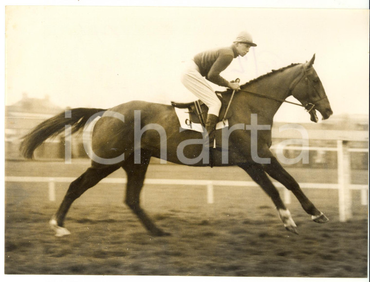 1957 HORSE RACING - Grand National entry SUNDEW trained by Derek LESLIE *Photo