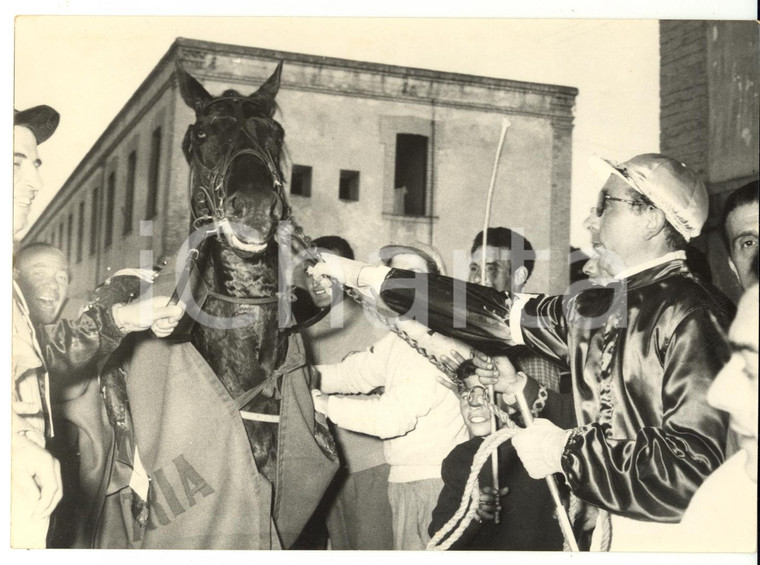 1955 NAPOLI IPPICA Corsa dei Milioni AGNANO - Il vincitore BIRBONE *Foto 18x13