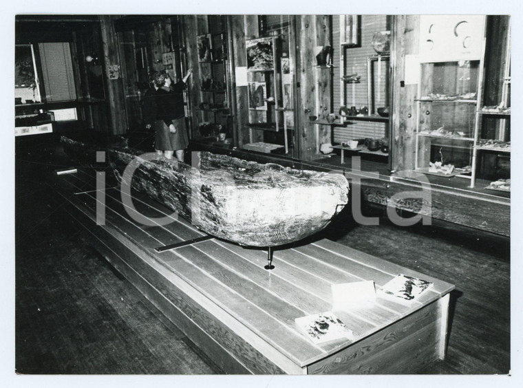 1977 LAGO DI LEDRO Museo delle palafitte - Sala interna - Foto 18x13 cm (2)