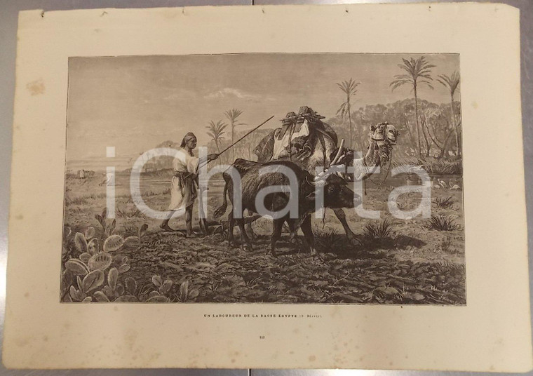 1886 MERVEILLES ART MODERNE Richard BEAVIS Laboureur de la basse-Egypte *Stampa
