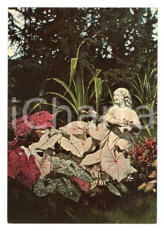 1976 GENOVA Fiera 3° EUROFLORA - Aiuola di fiori *Cartolina VINTAGE FG NV