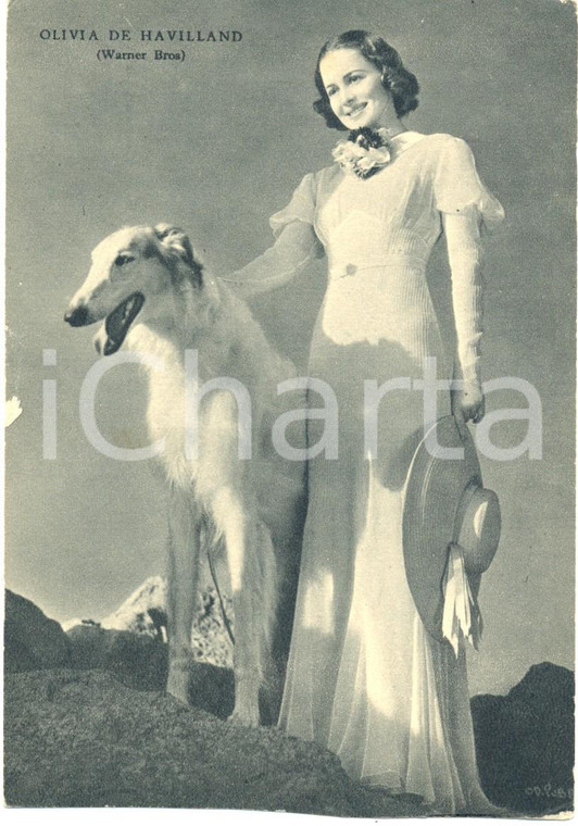 1938 OLIVIA DE HAVILLAND con cane Cart. Rizzoli FG