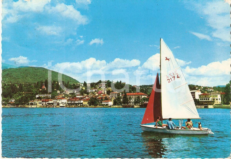 1969 LUINO (VA) Barca a vela sul Lago Maggiore *Cartolina FG VG