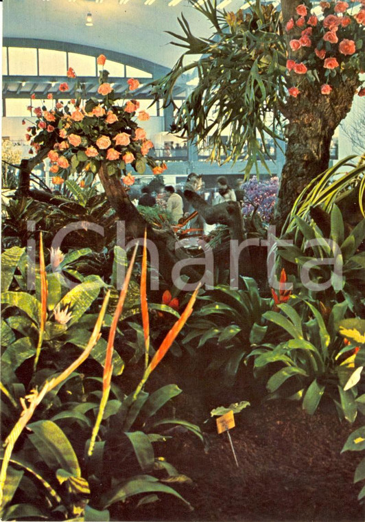 1976 GENOVA  Fiera 3^ EUROFLORA  - Dettaglio floreale *Cartolina VINTAGE FG NV